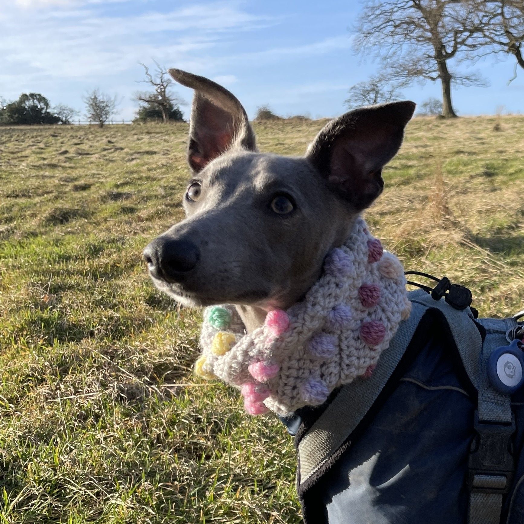 Rainbow Bobble - Snood