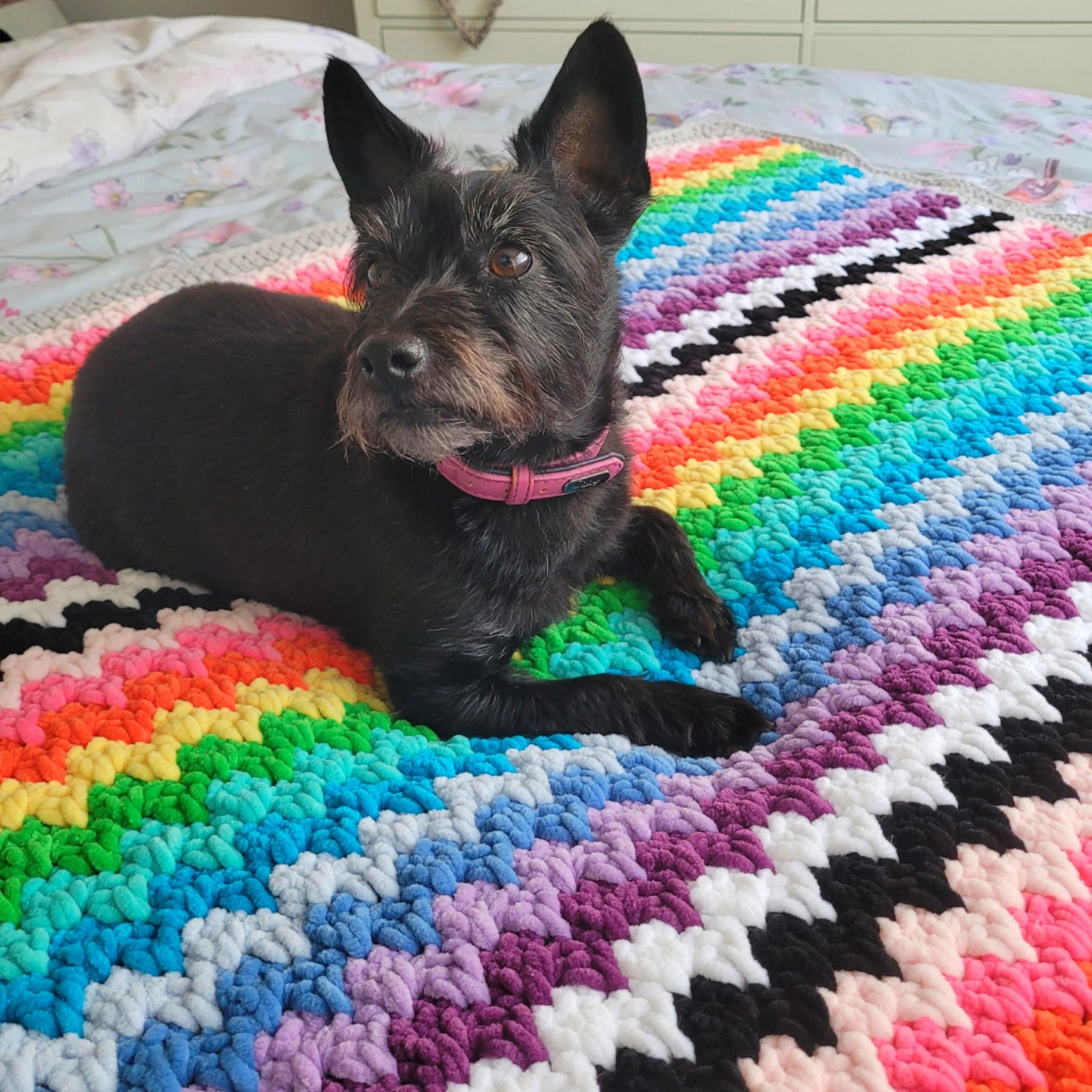 The Rainbow Cuddle Blanket - Teppe - Image 5