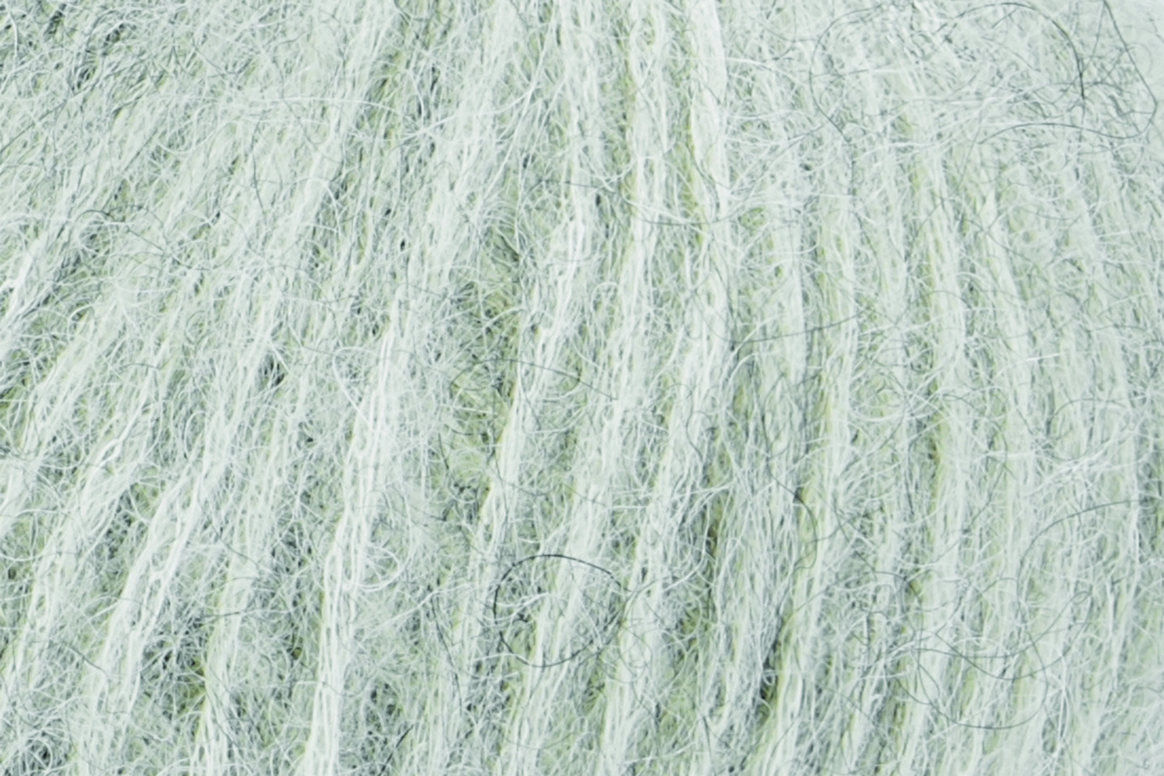 Alpaca Classic - Image 2