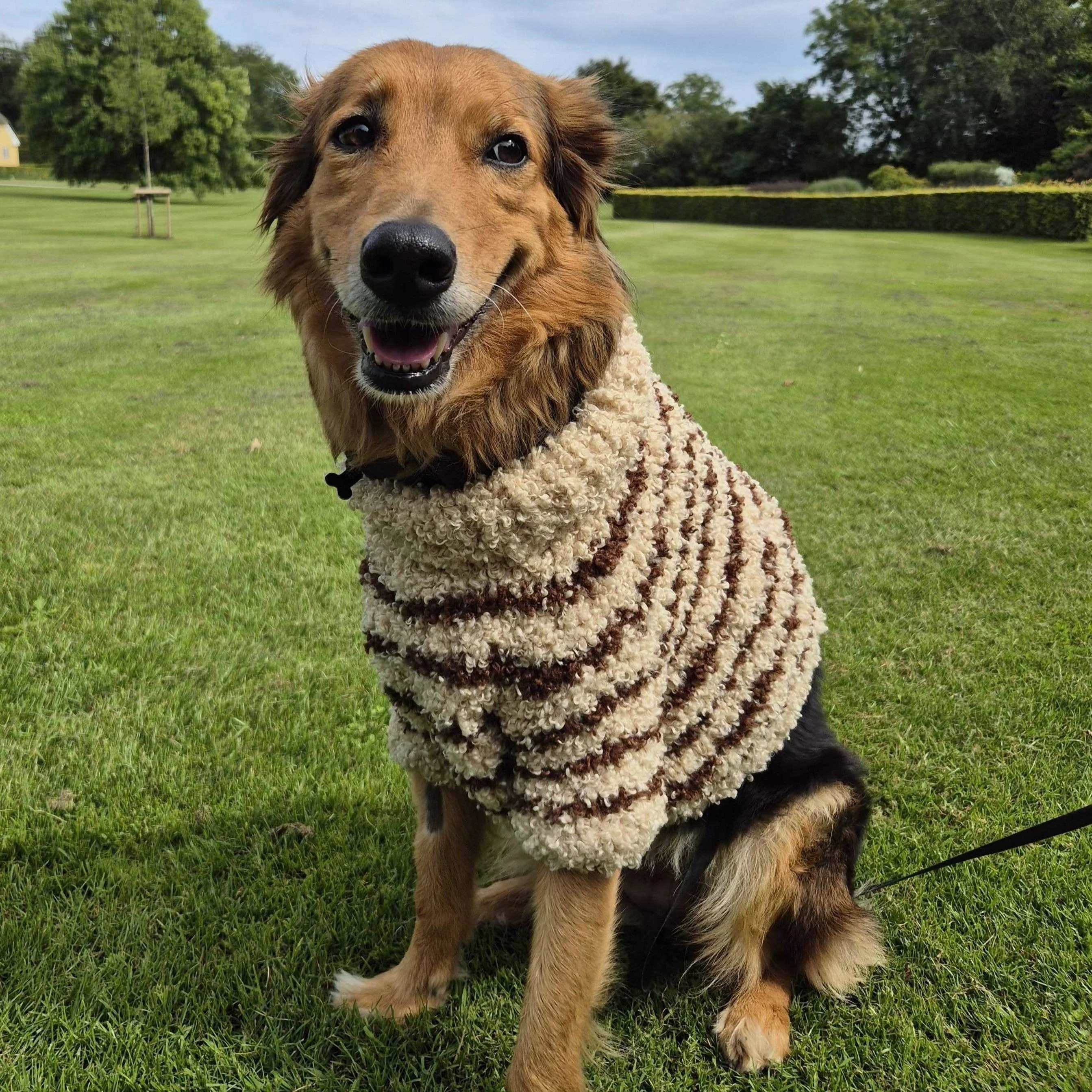 Stevie - Hundegenser - Image 3