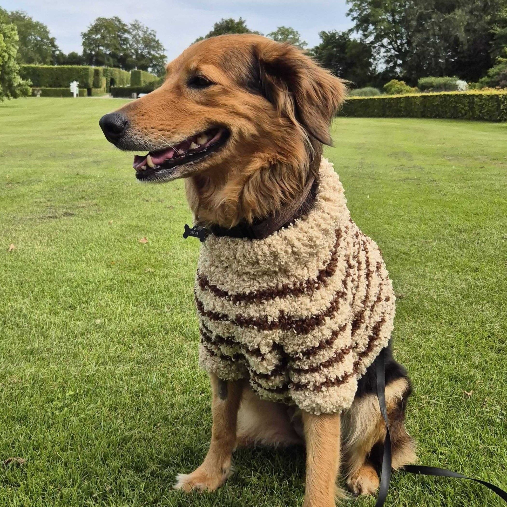 Stevie - Hundegenser - Image 4