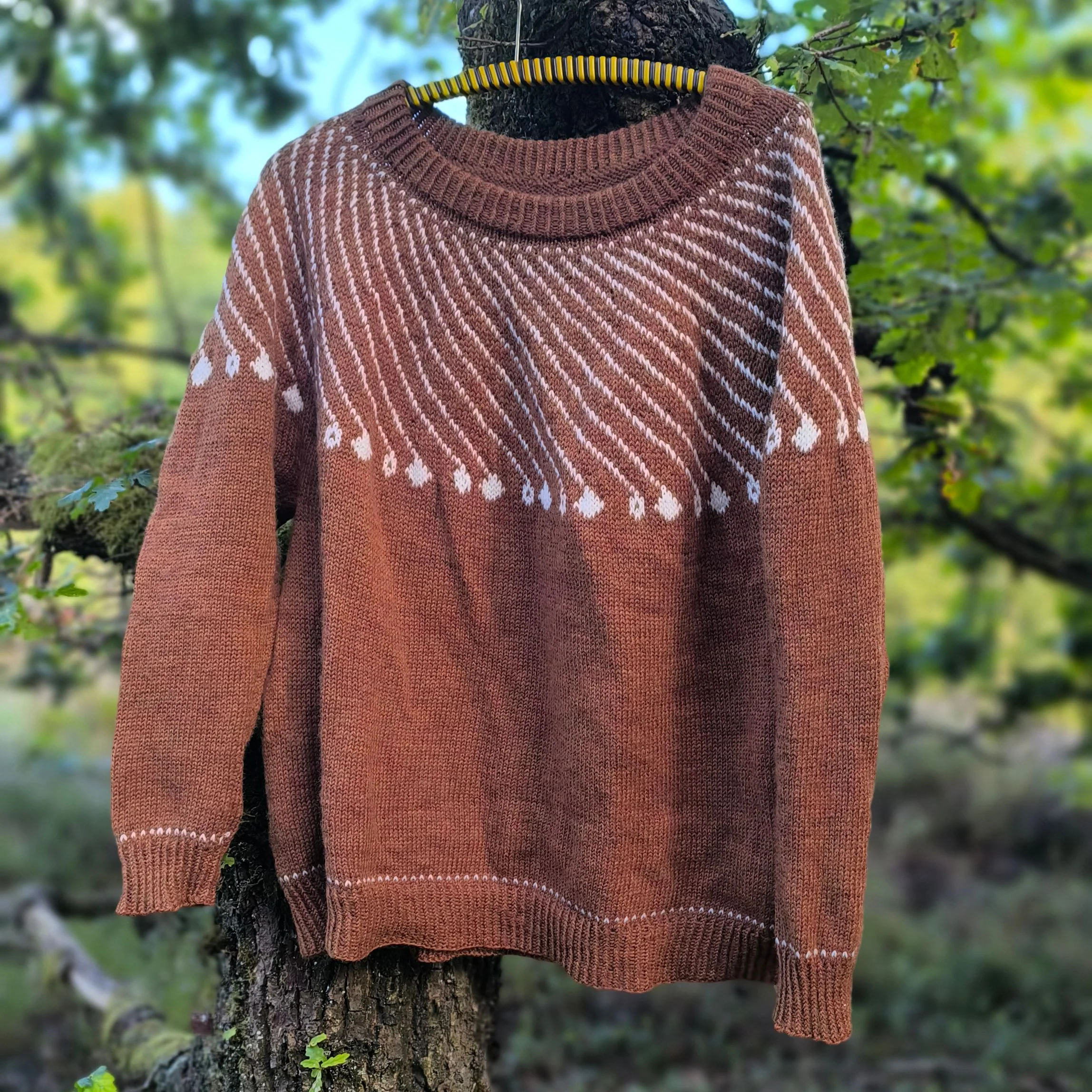 Shooting Star - Sweater