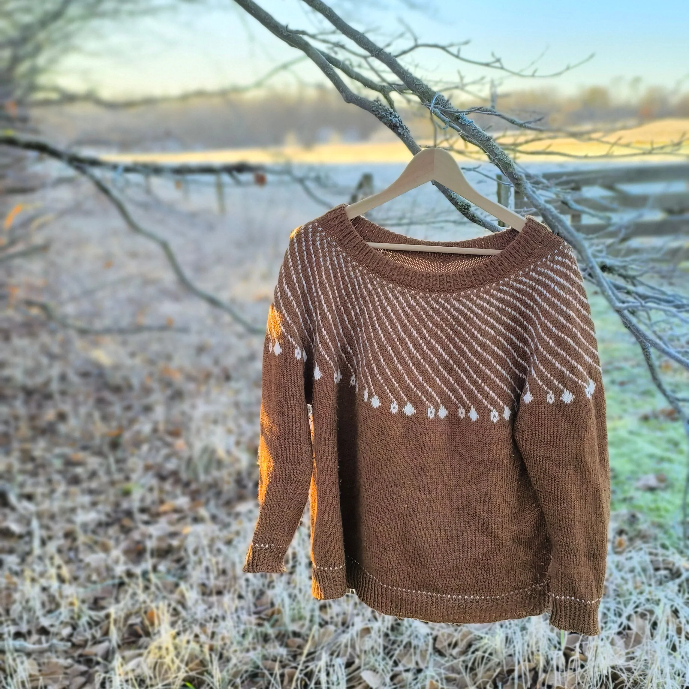 Shooting Star - Sweater - Image 2