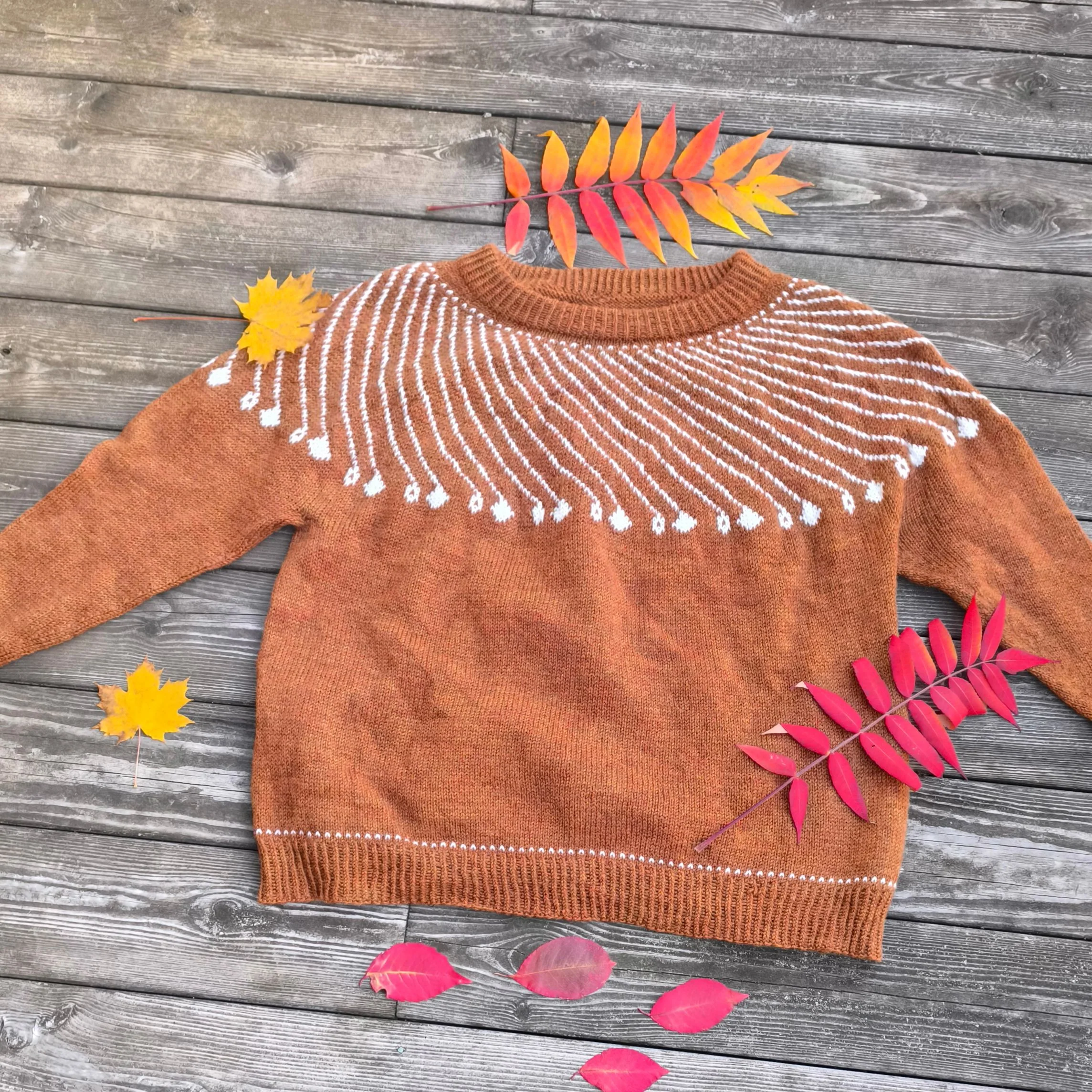 Shooting Star - Sweater - Image 5