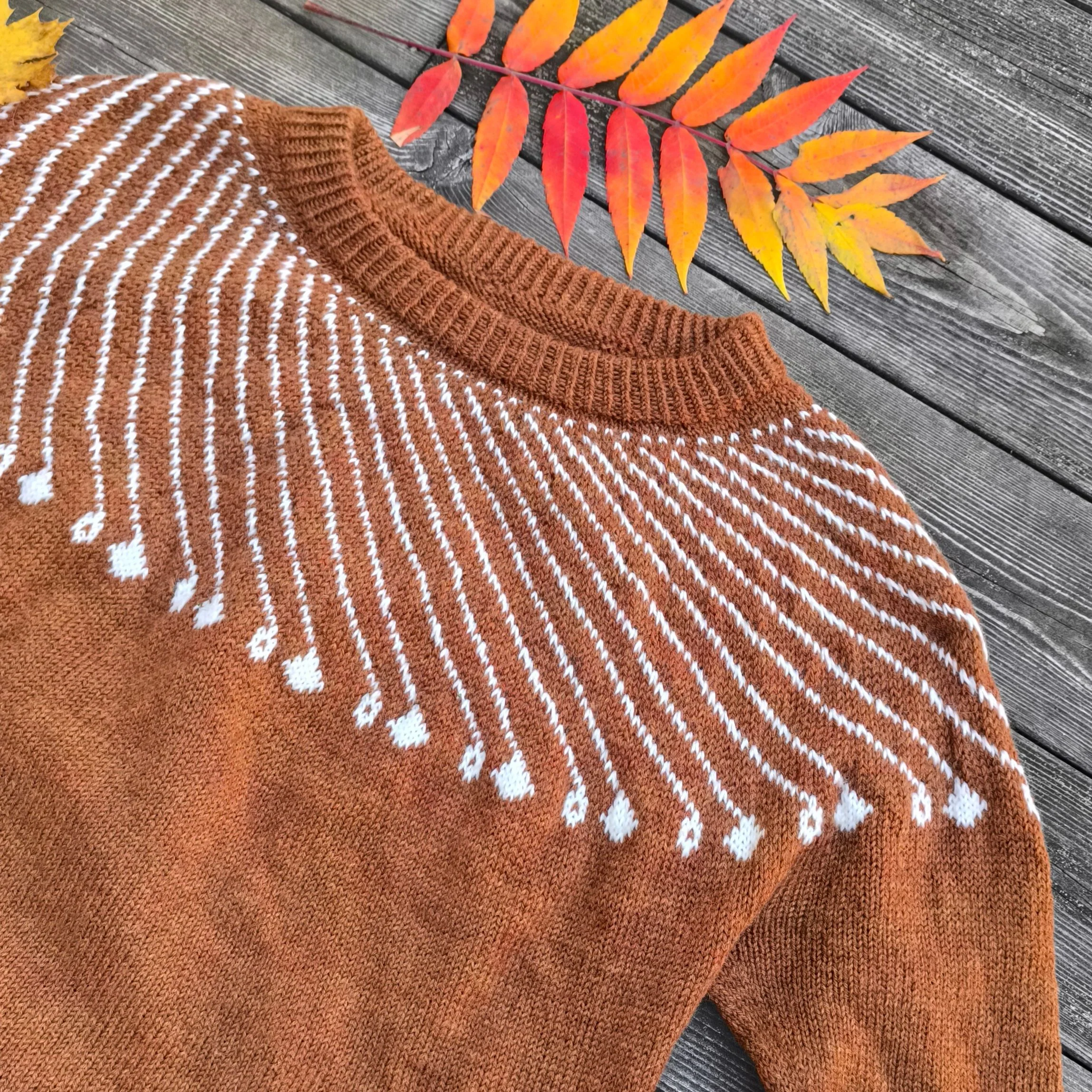 Shooting Star - Sweater - Image 6